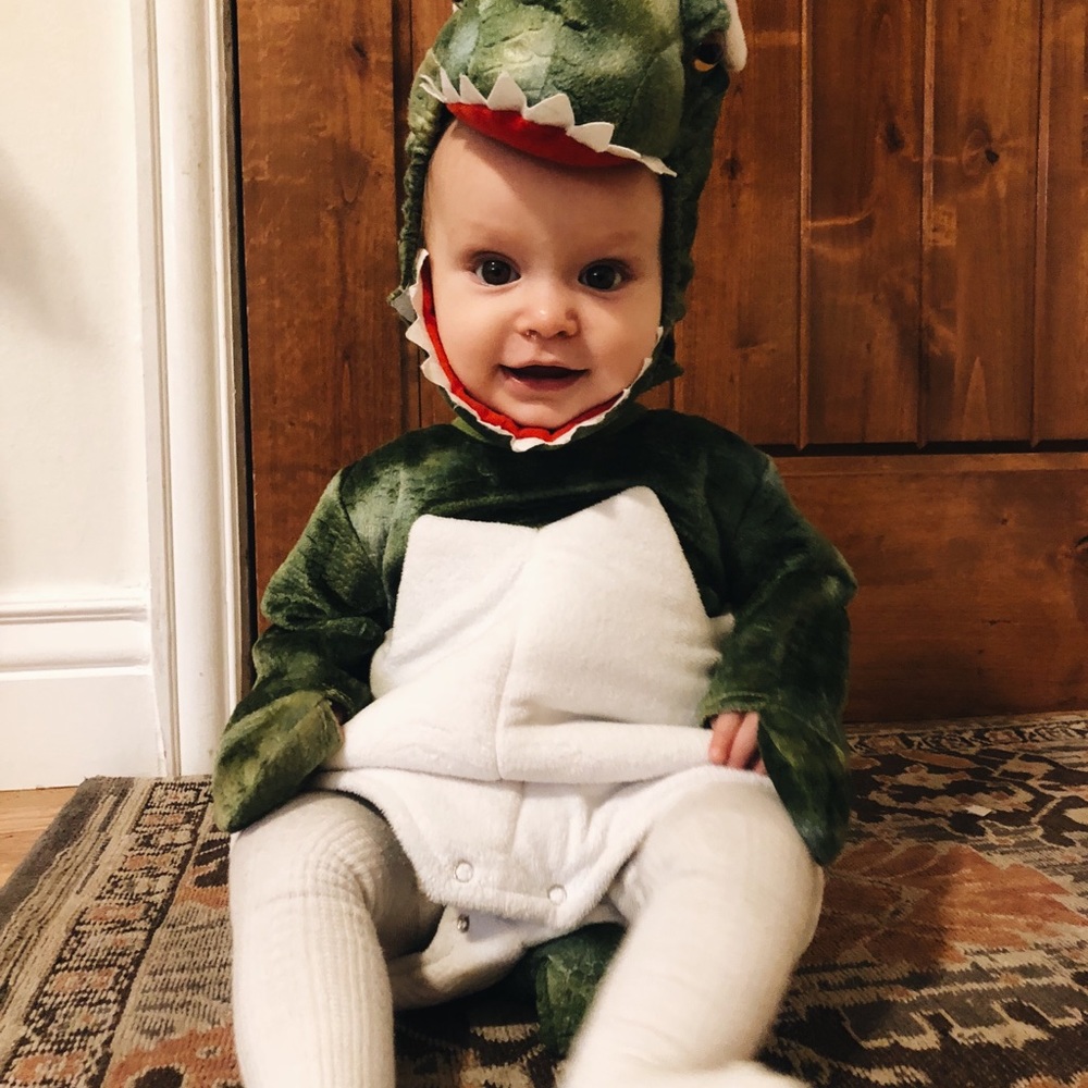 Dinosaur Baby Costume